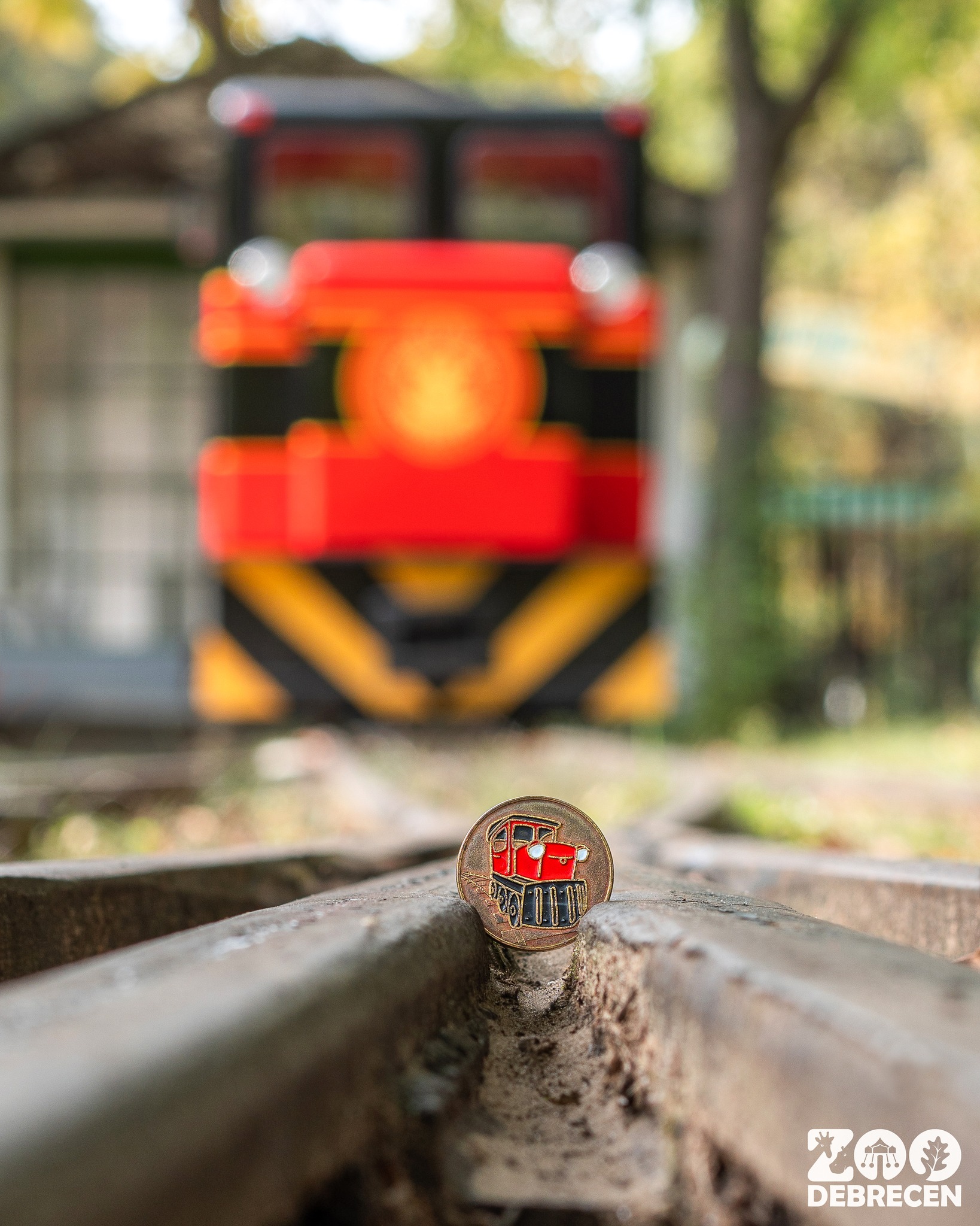 Besides ever popular zoo residents, our souvenir coin selection