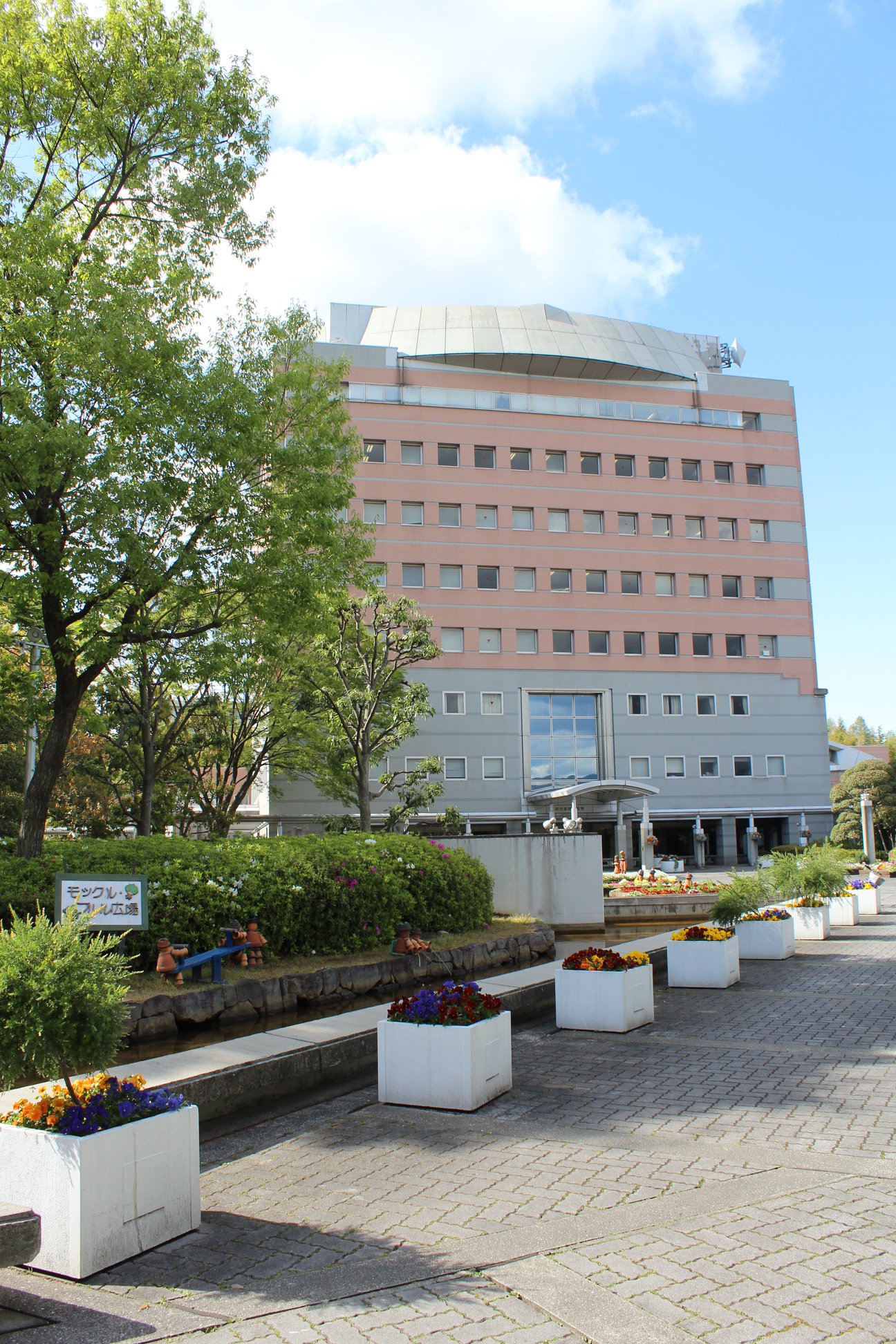 活動歴および当時の関連ビジュアル記録