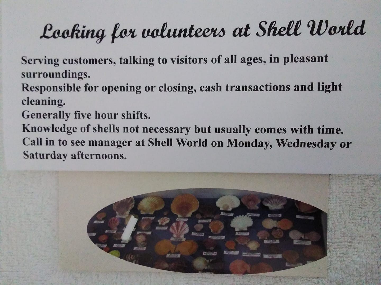 Shell World Yeppoon