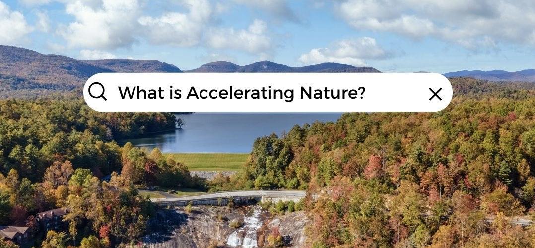 Accelerating Nature