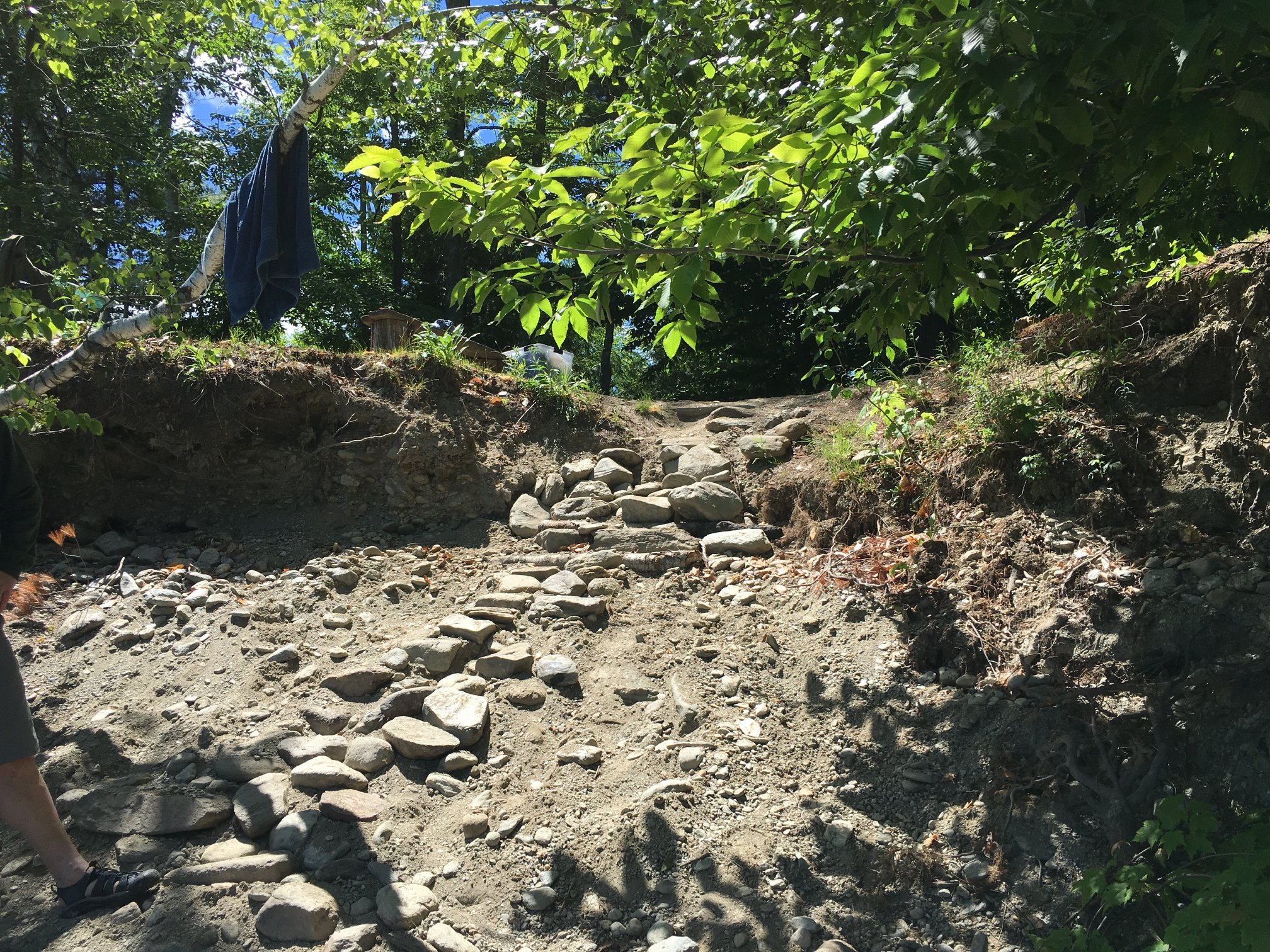 The biggest piece of advice we... - Vermont Lakes and Ponds