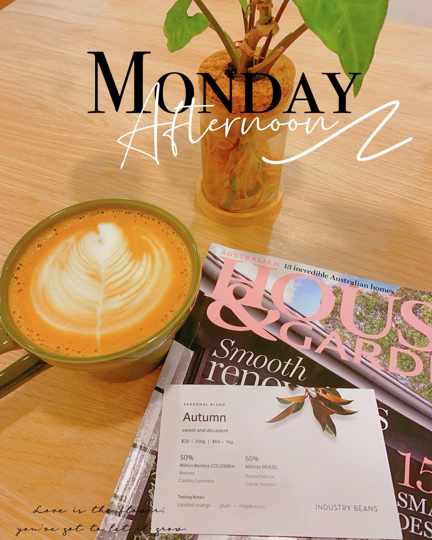 The Gong View Cafe Bar | Wollongong NSW