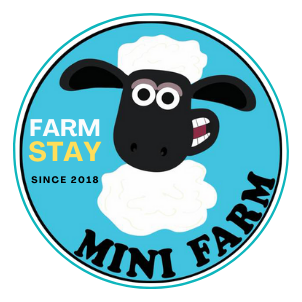 Mini Farm | Ba Ria