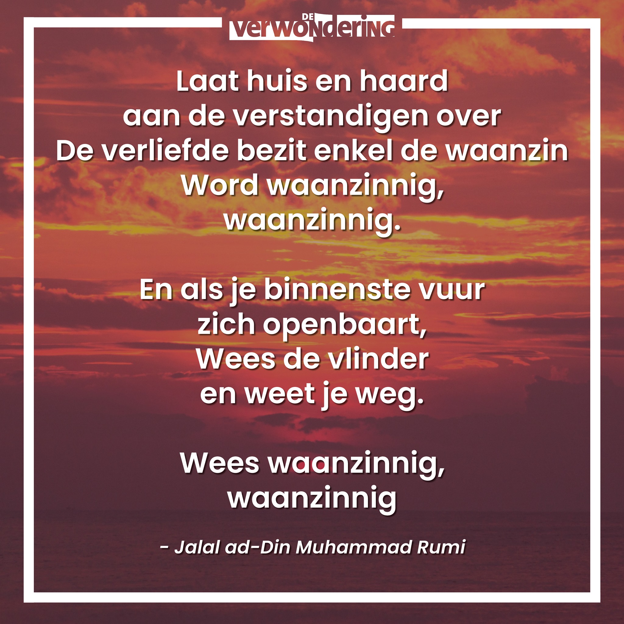 De verwondering - Shervin Nekuee neemt het gedicht 'Wees waanzinnig ...