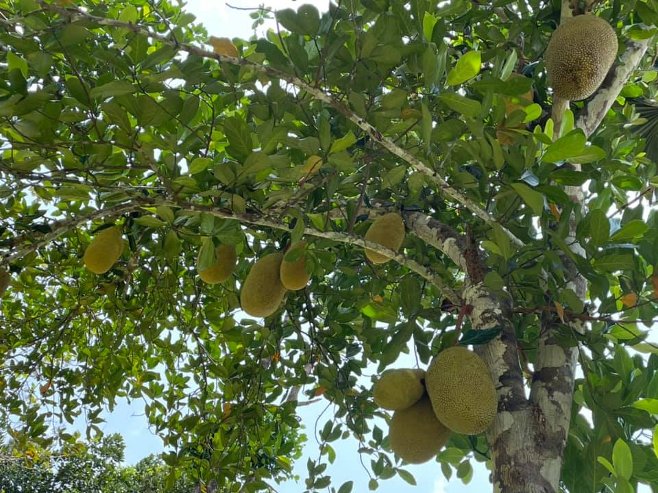 Pushkara Farms | Puttur