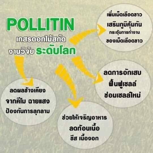 🎯พอล... - Pollitin - พอลลิติน สารอาหารบำบัด ยับยั้งเซลล์มะเร็ง