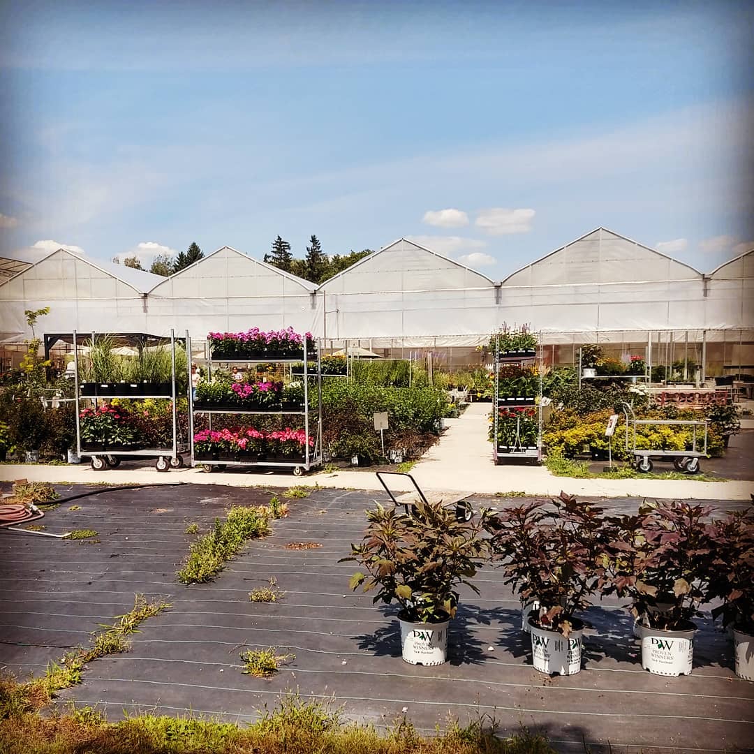 Rekker's Garden Centre Bowmanville, Ontario Facebook