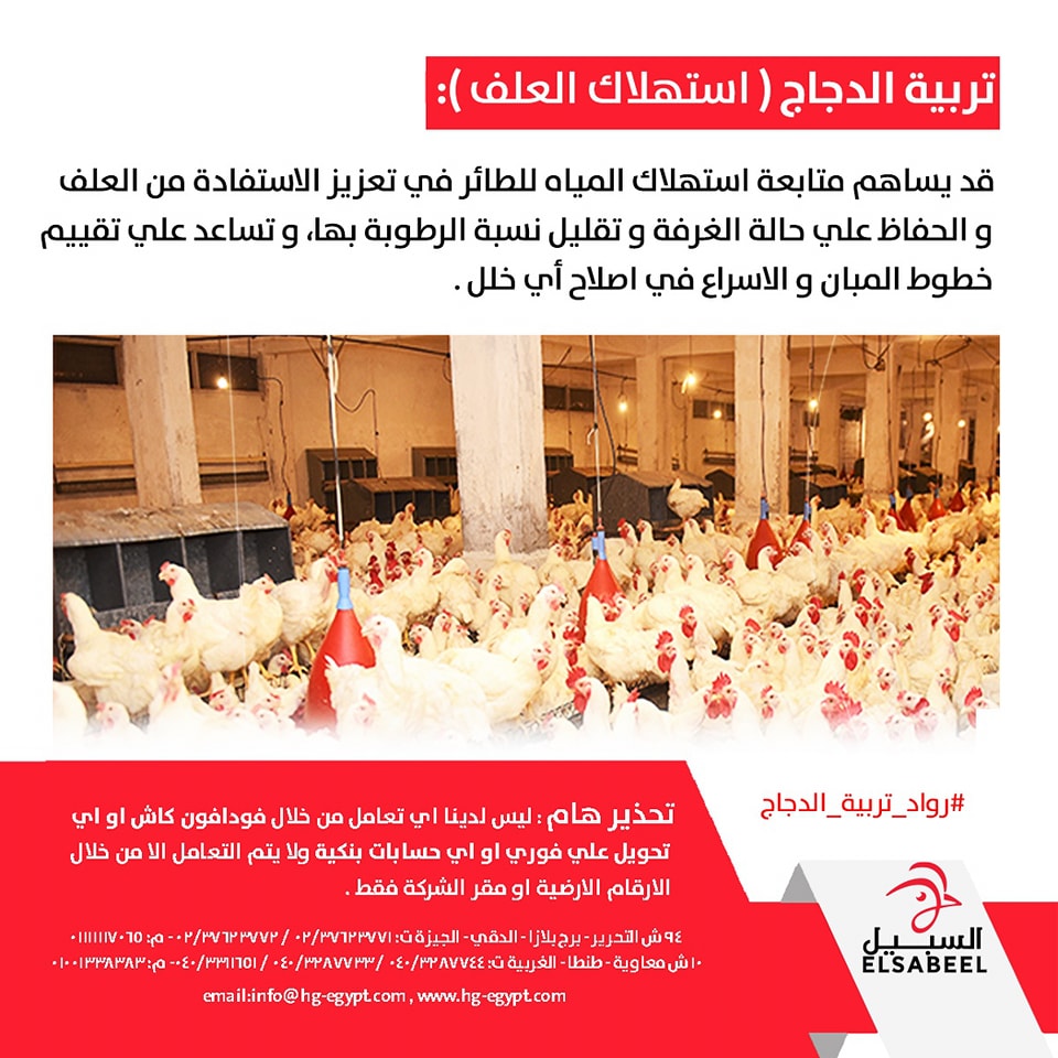 شركة السبيل الجديدة للإنتاج الداجني | Tanta
