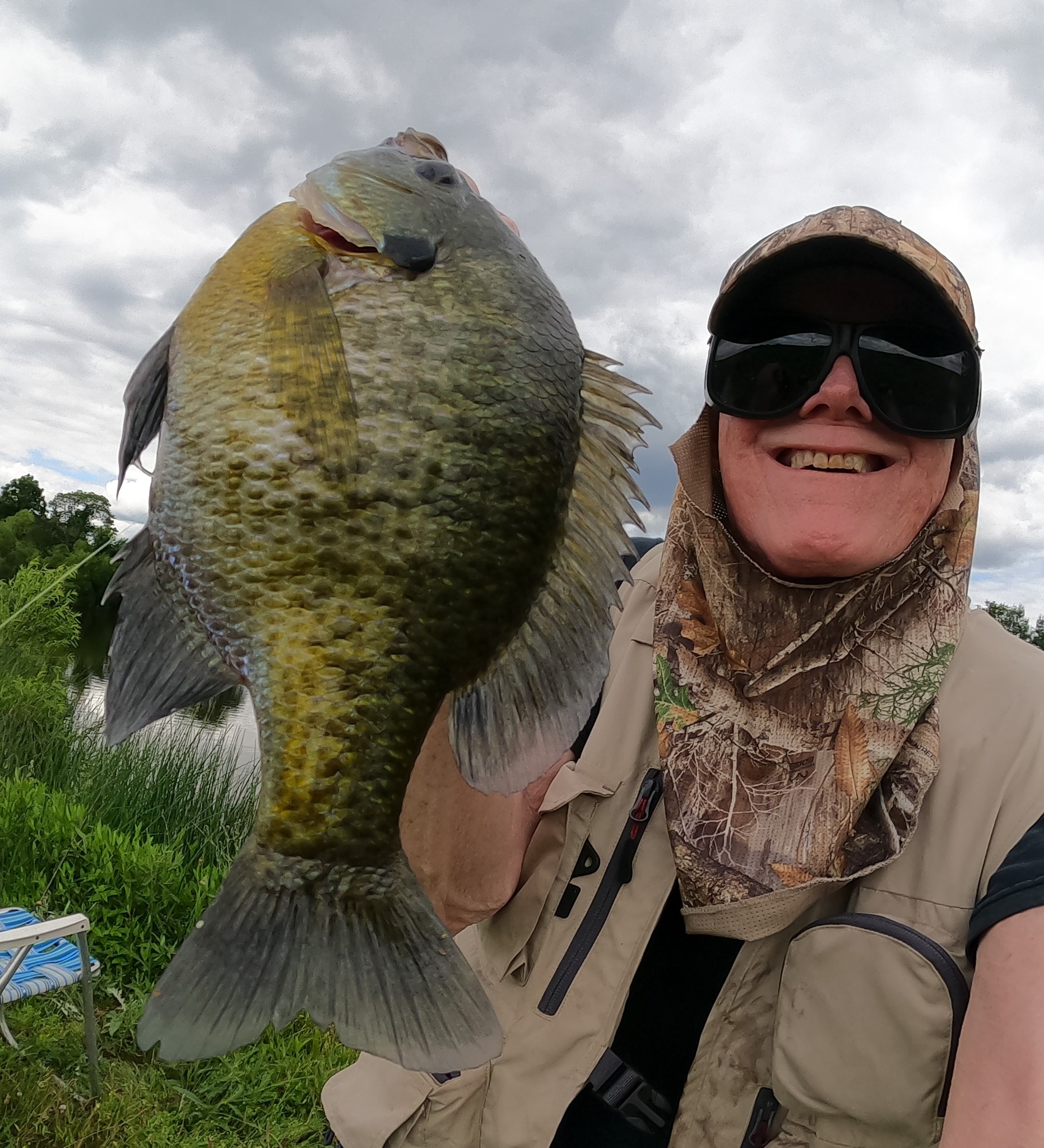 The Bluegill Network | I hope this clears up some ID issues with these ...