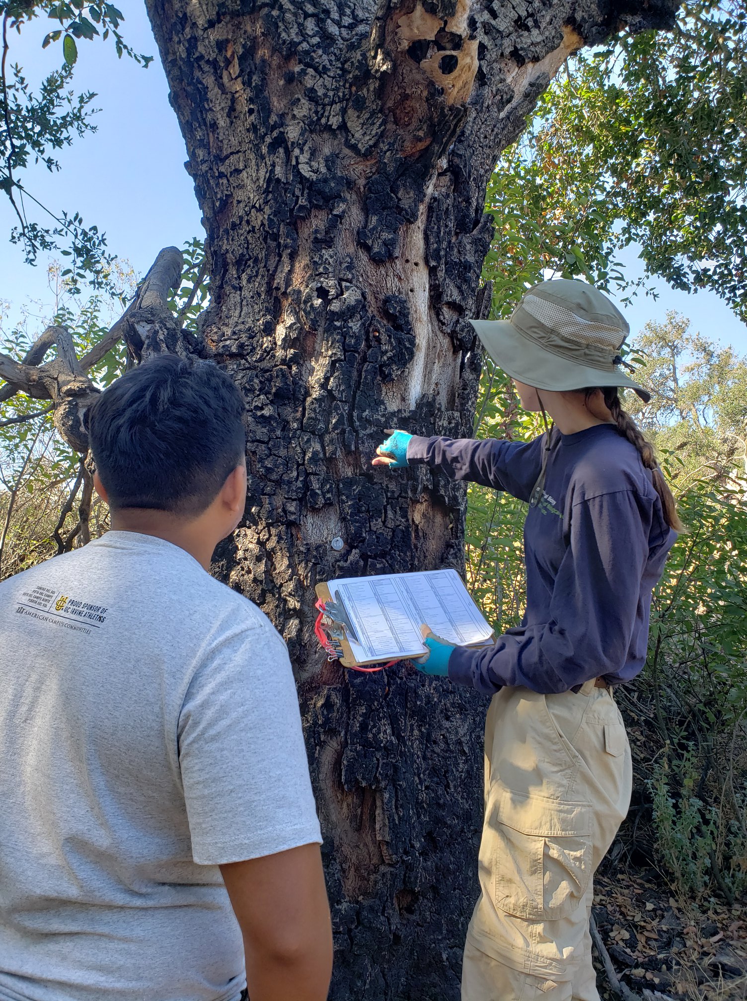 We've started... - Center For Environmental Biology-UC Irvine | Facebook