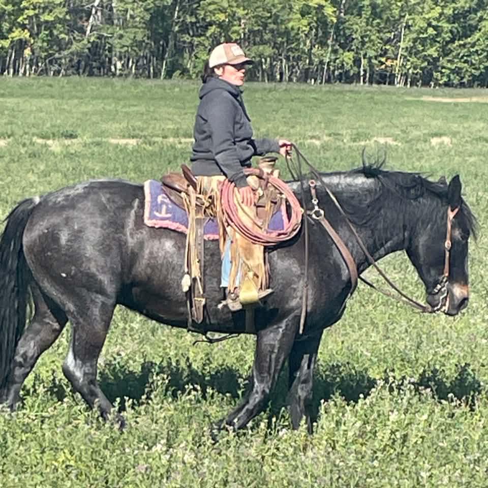 Just another day and another cattle drive in the books. | Andrea Conrad