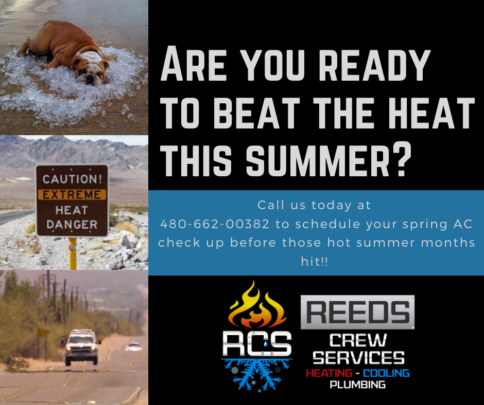 Reeds Crew Services INC | San Tan Valley AZ