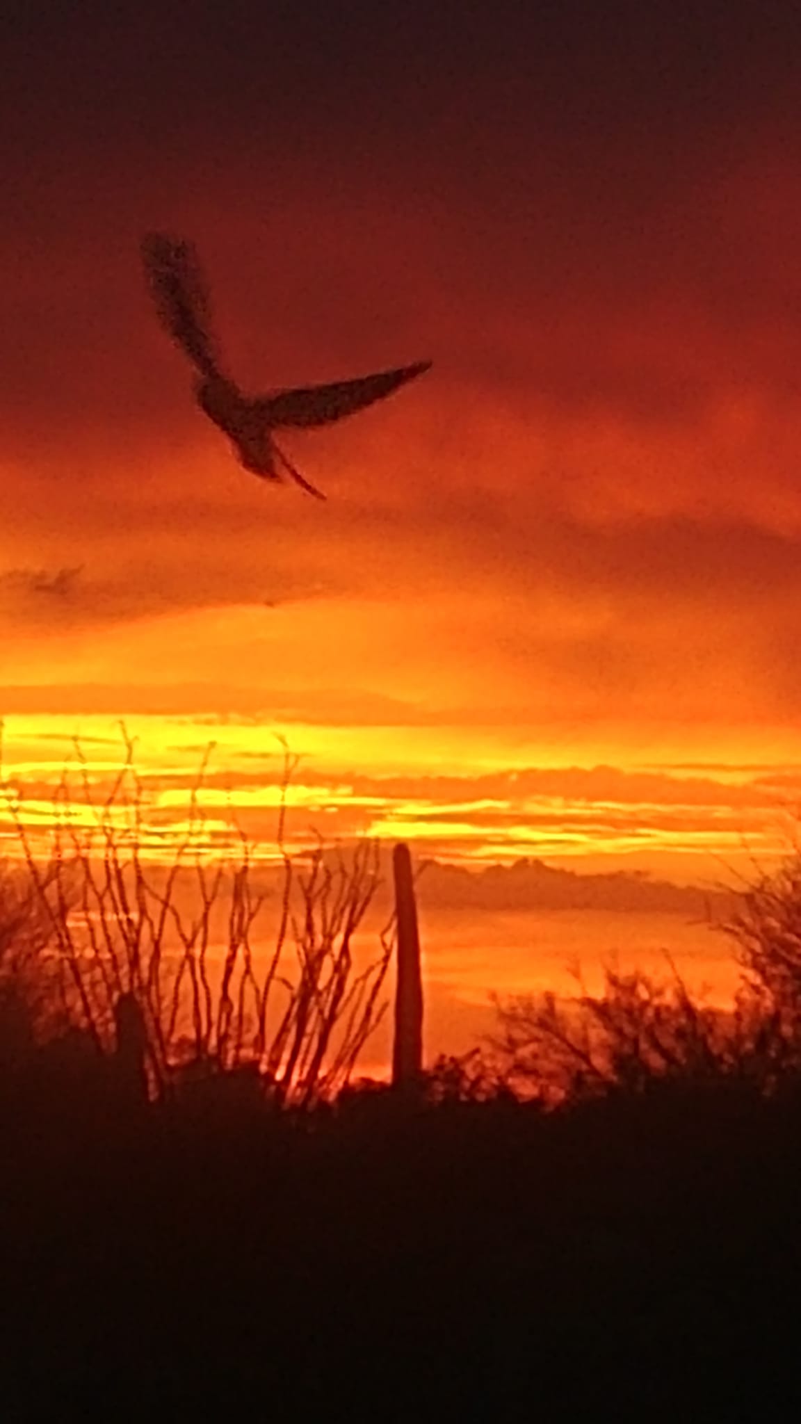 Spectacular sunset in Avra Valley, Arizona with rain showers