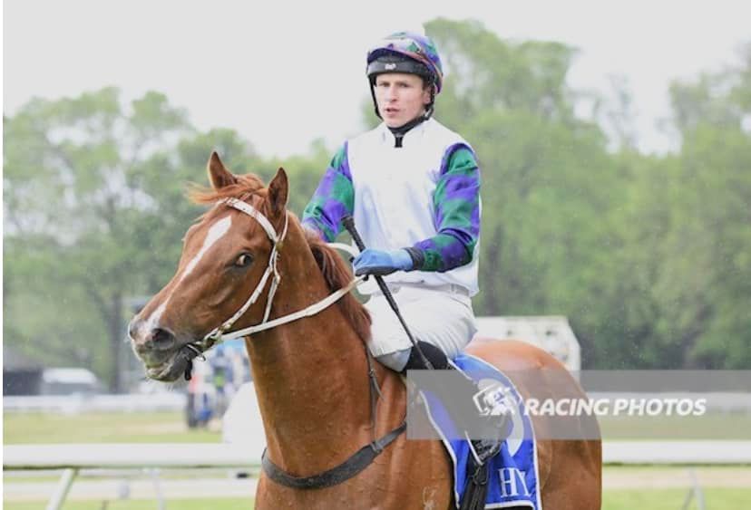 Osborne - Last start winner GOLDEN BANNER or Eric as he’s well known ...