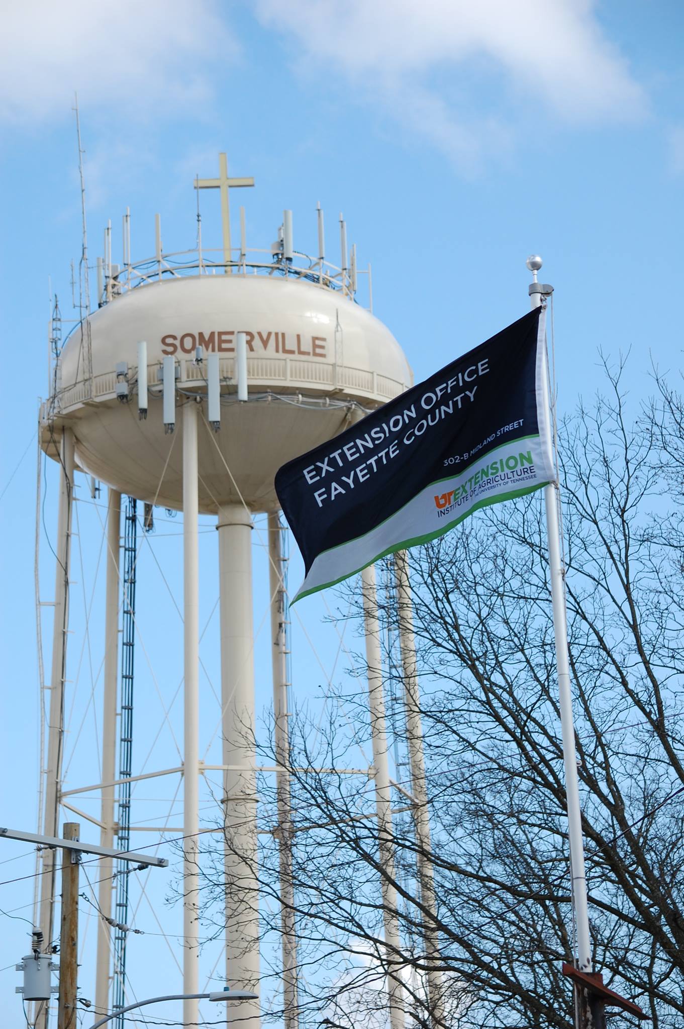 UT Extension- Fayette County | Somerville TN