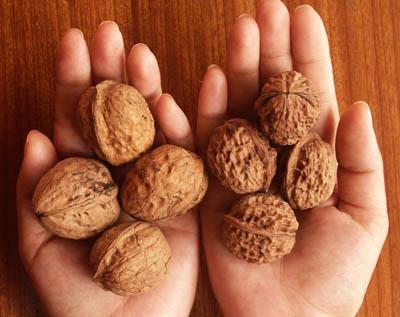 The Widgets to Walnuts Group
