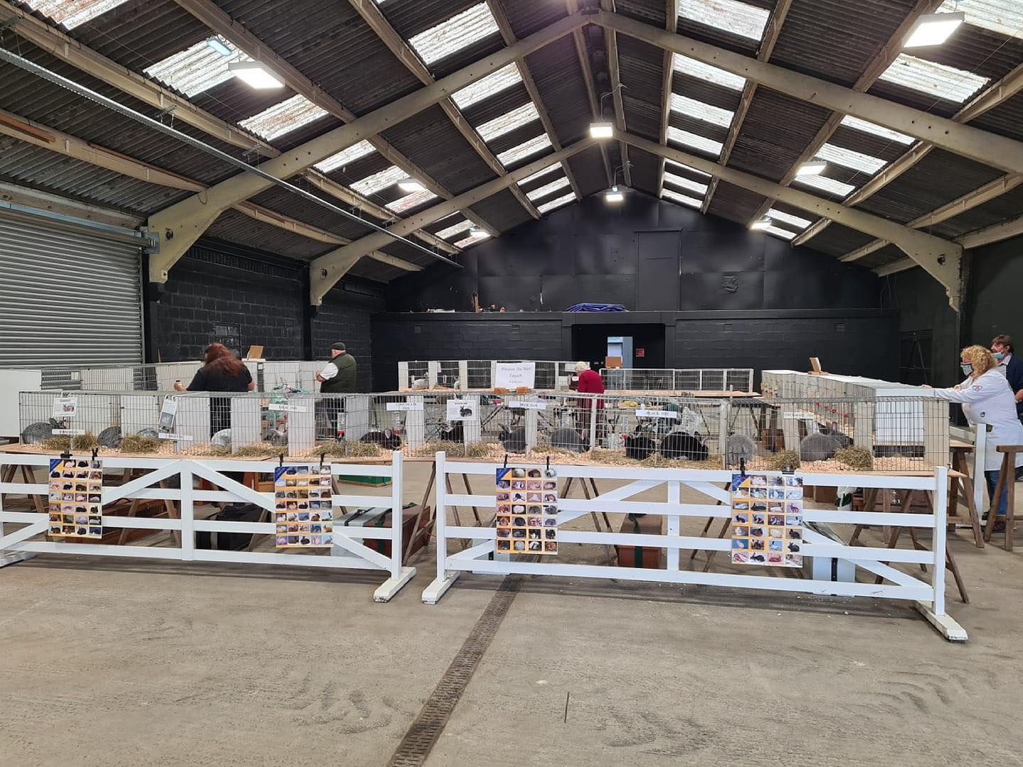 Great to see the exhibition set... - British Rabbit Council | Facebook