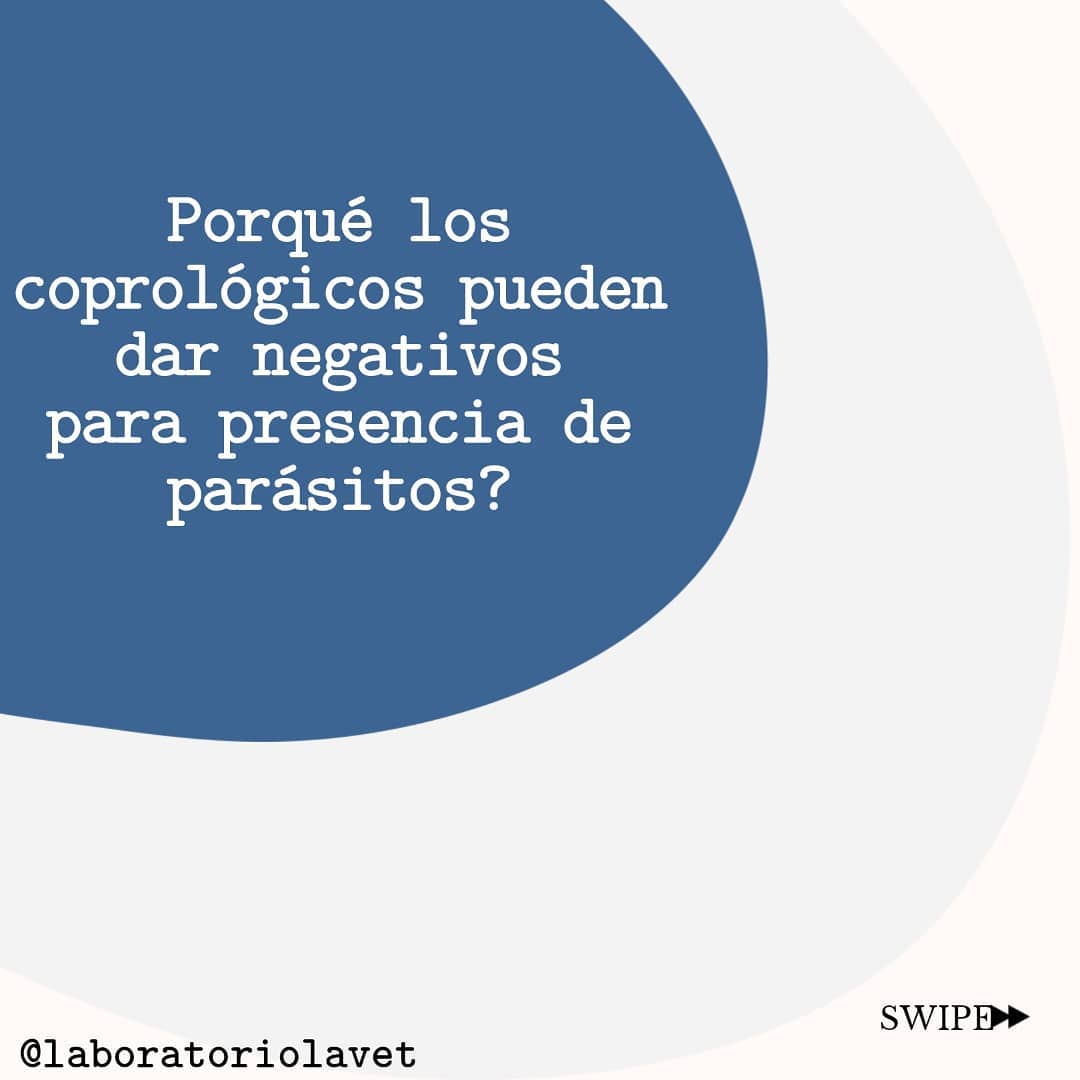 Lavet Ibagué - ️ Porqué los coprológicos pueden dar...