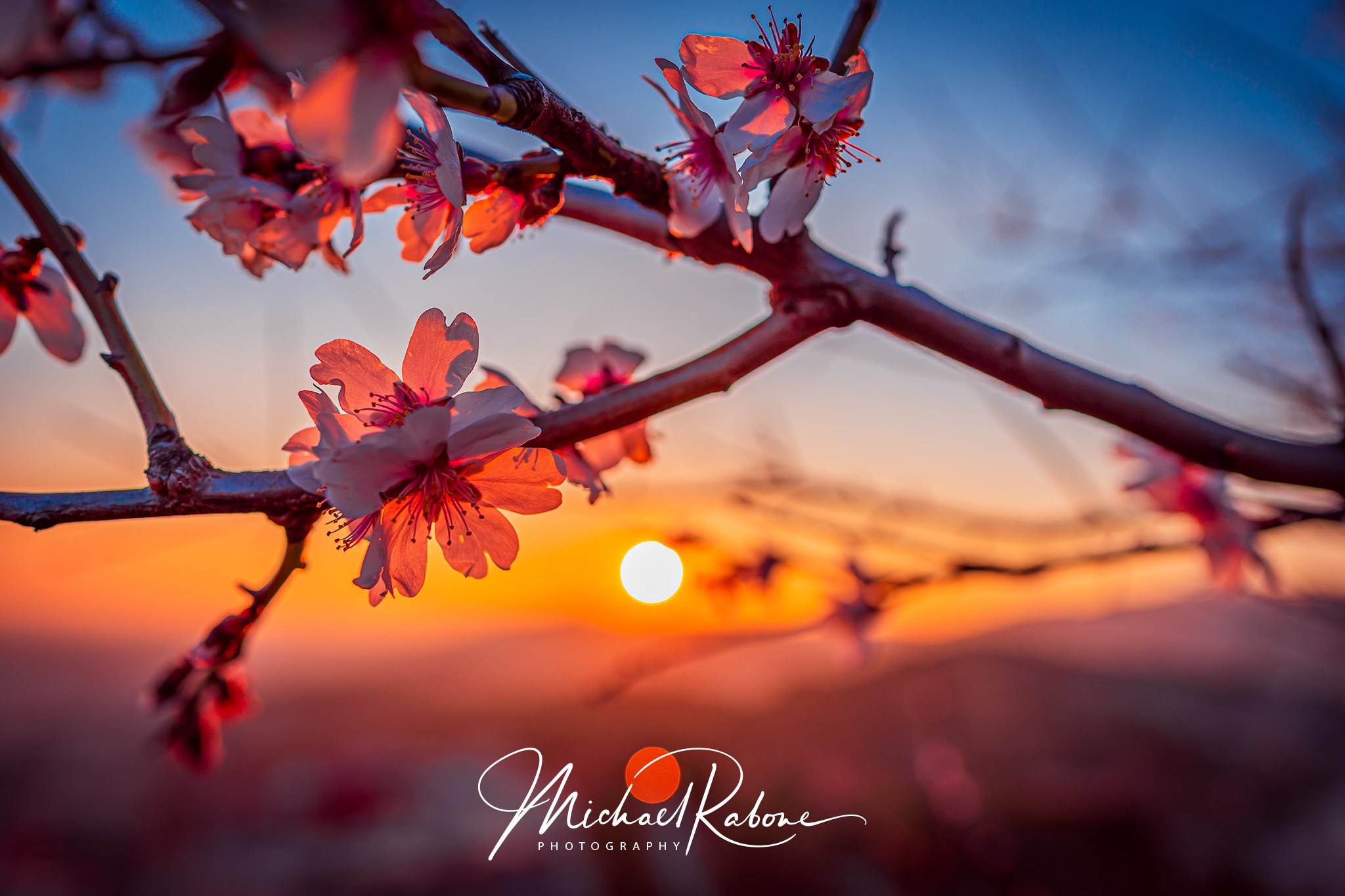 Michael Rabone Photography