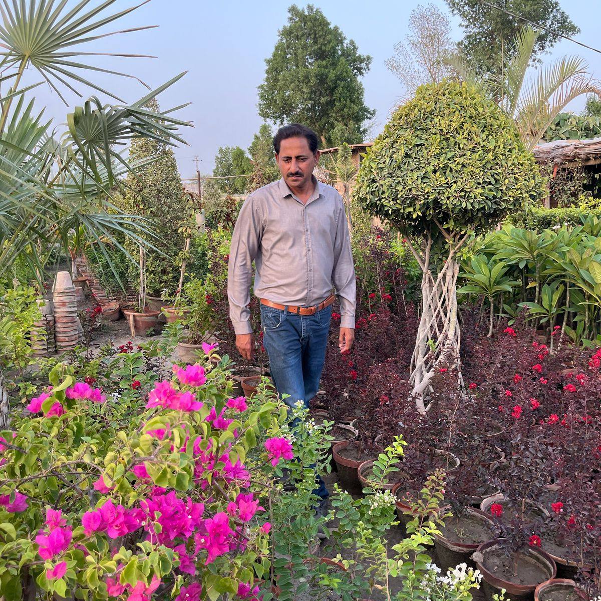 Hassan Rashid
