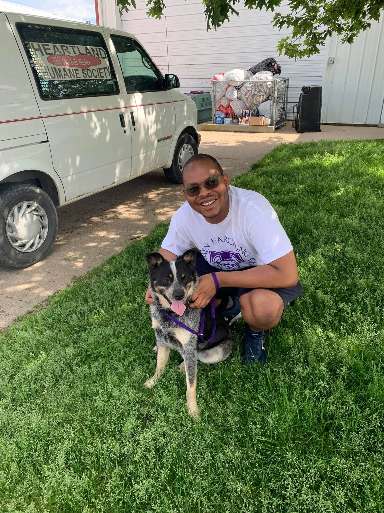 Banjo has been a popular boy... - Heartland Humane Society