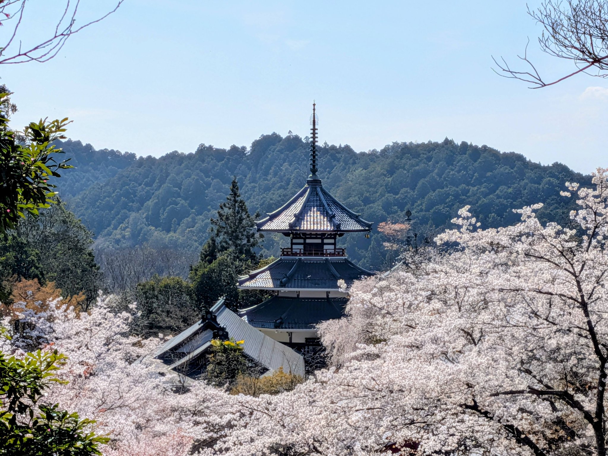 2026年4月3日 □吉水神社 奈良県吉野町 後醍醐天皇の南朝皇居でもあり