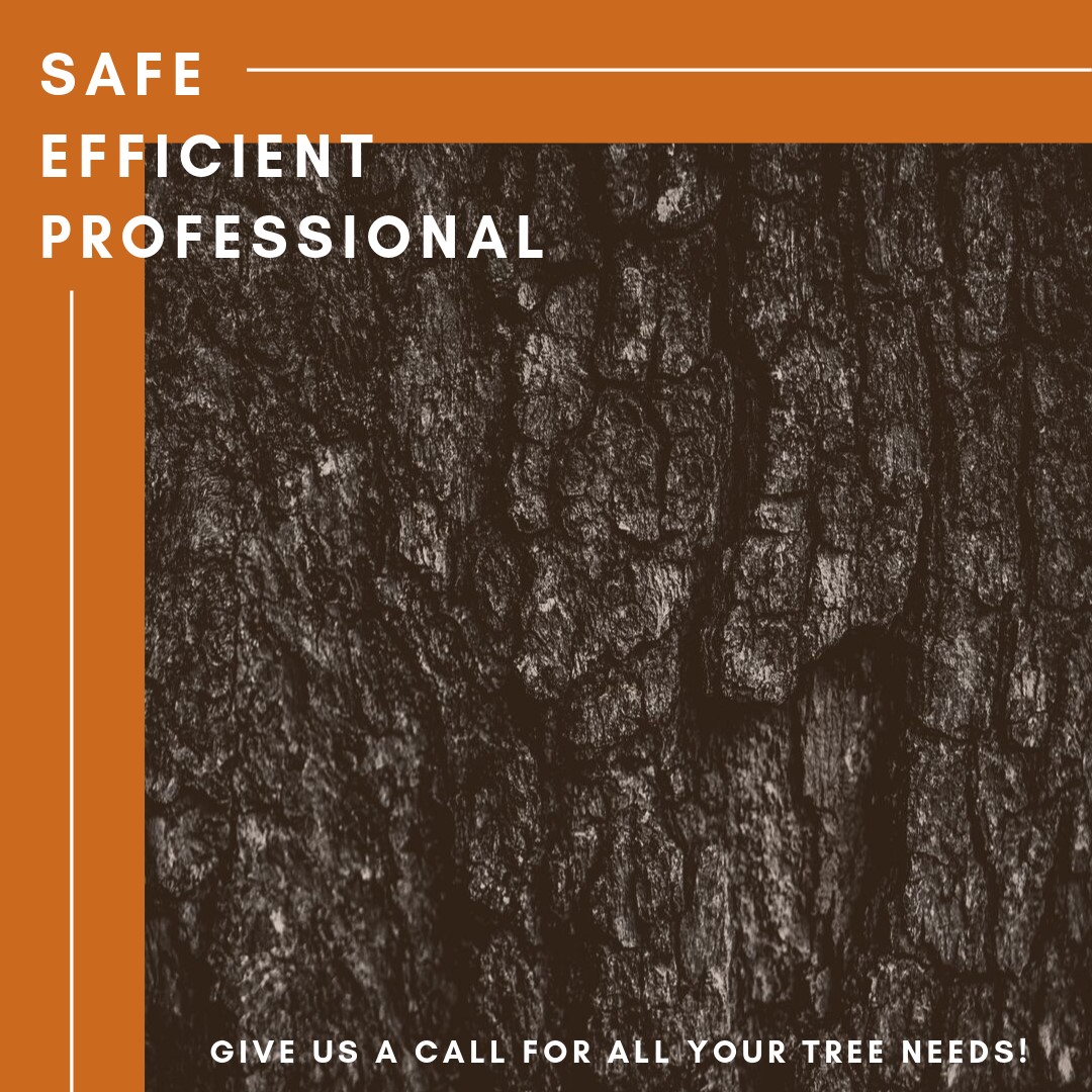 Vince's Tree and Landscape, LLC