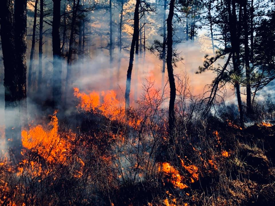 Be Advised: NJ Forest Fire... - Whiting Fire Company Sta. 33 | Facebook