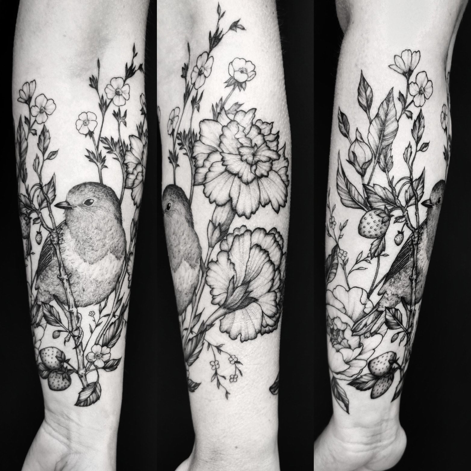 Tatouage Rouge Gorge Noir Et Blanc