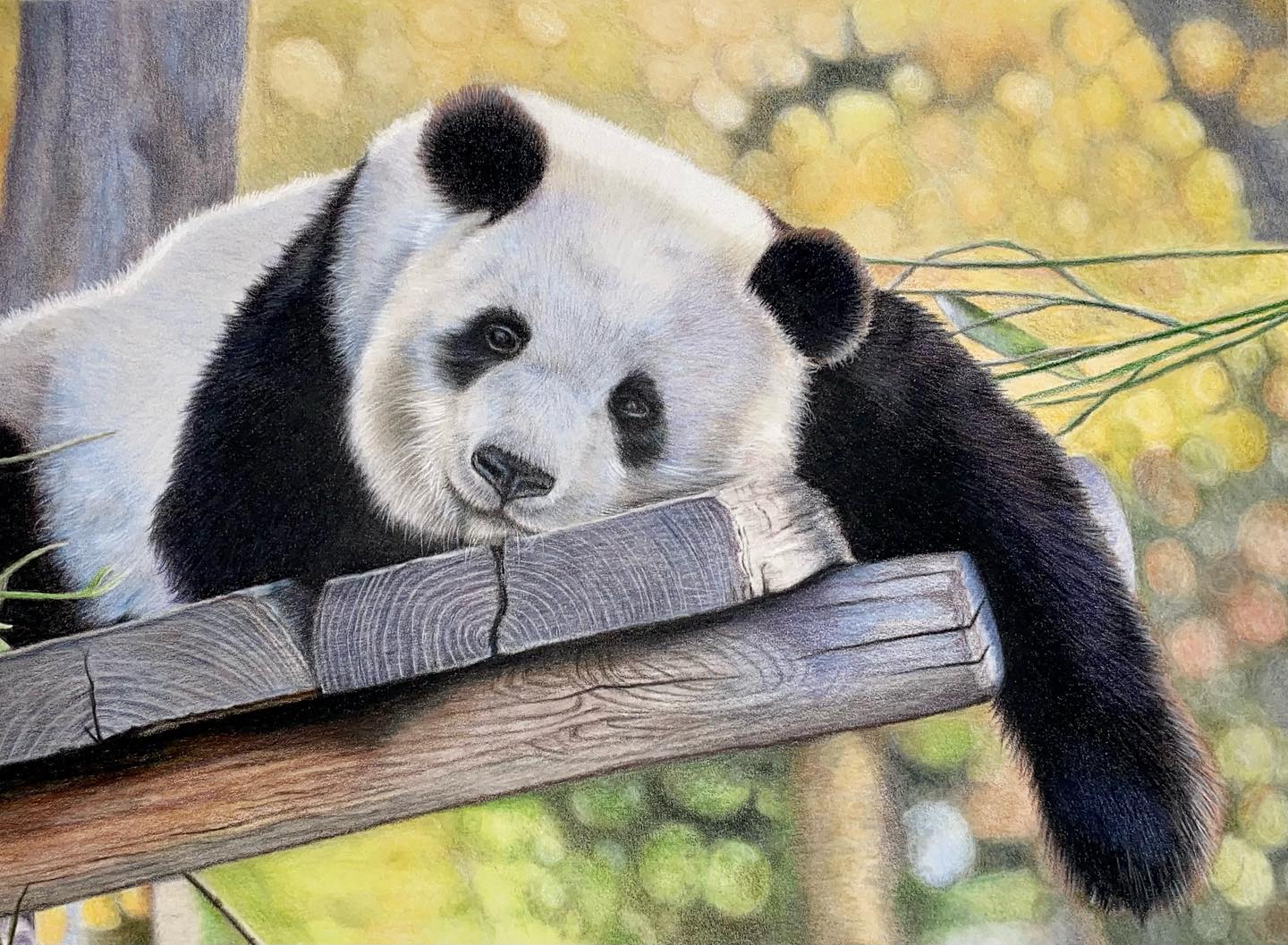 Amanda Grey Fineart - Happy Monday everyone and here’s something to put ...