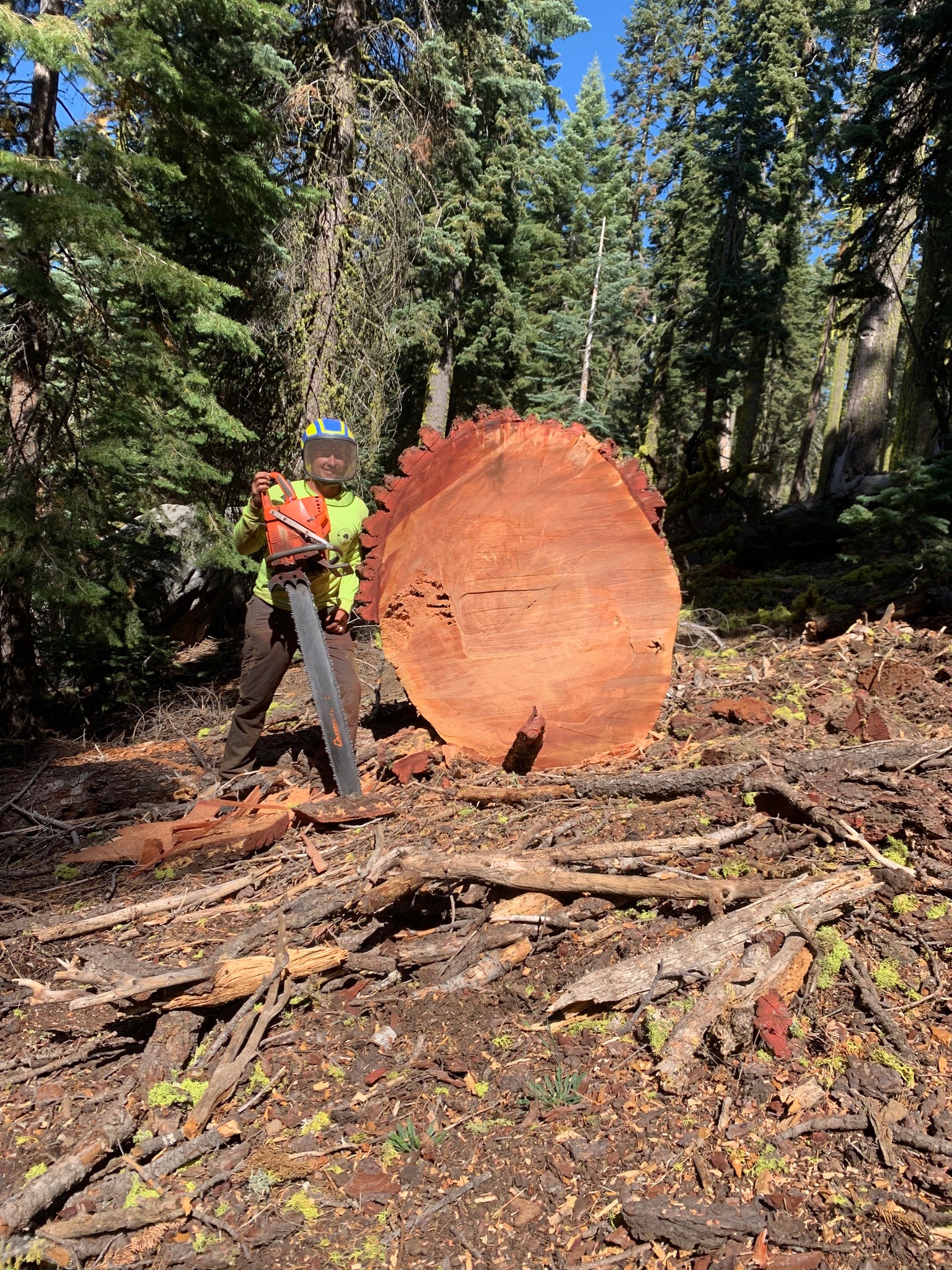 Noble Tree Service | Athol ID