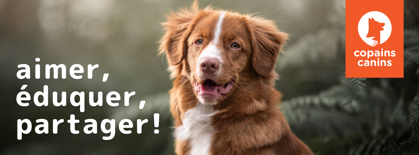 Copains Canins Education Canine Positive Lyon Posts Facebook