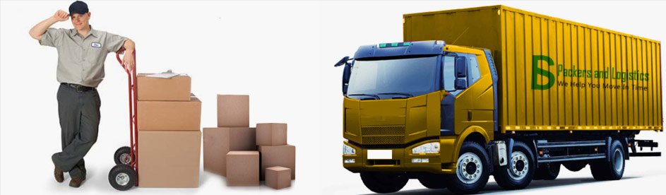 Pro Auto Transport