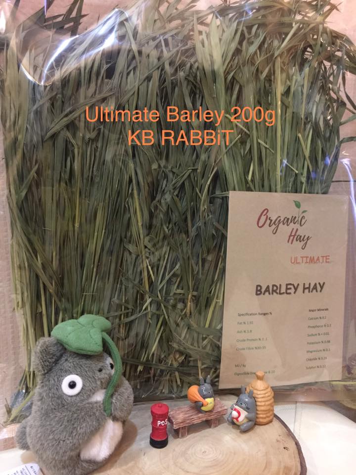 KB Rabbit - Ultimate Barley 🌿 มาแล้วนะจ๊ะ ใบเยอะมากๆ... | Facebook