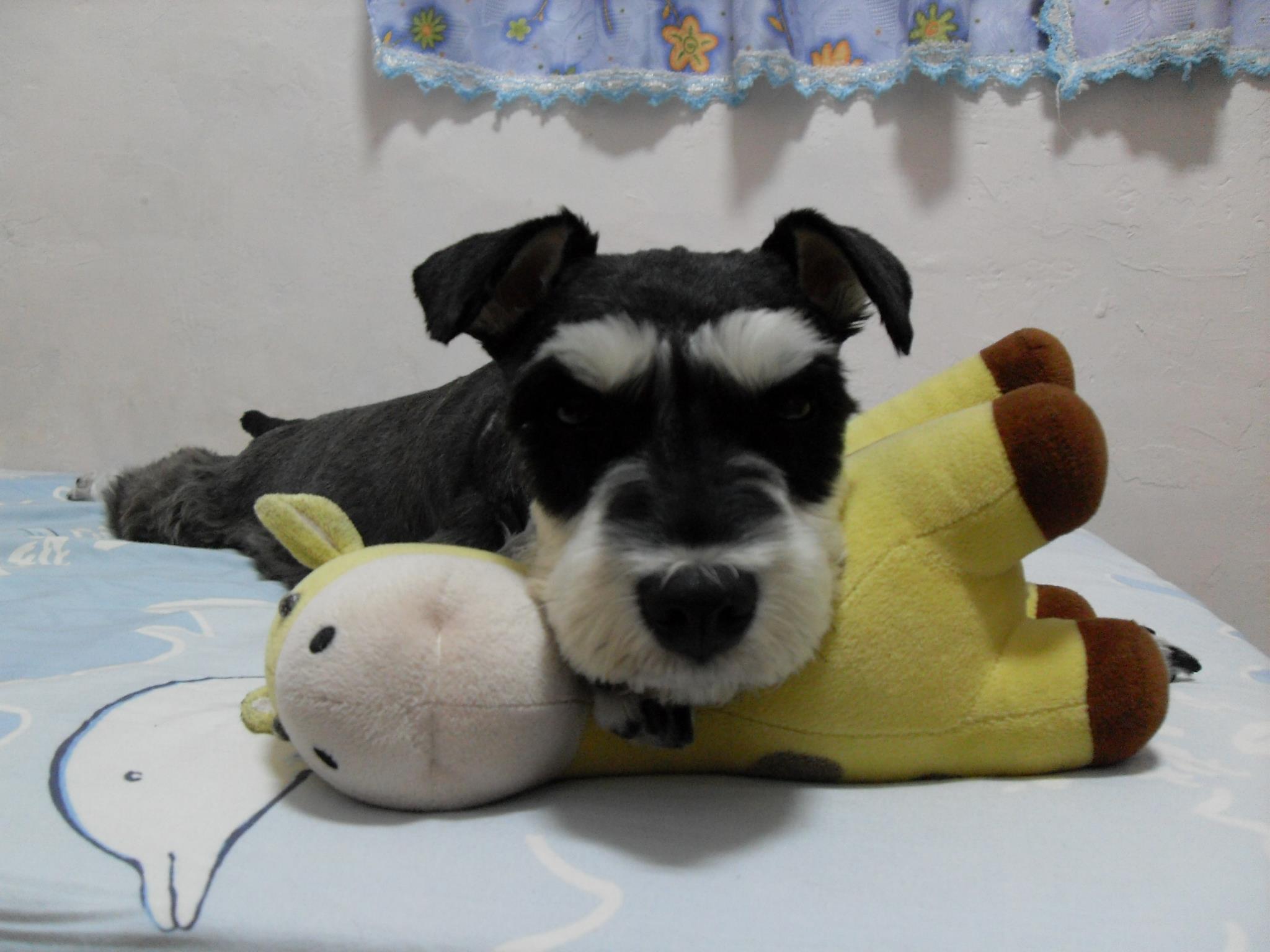 Yi Rou