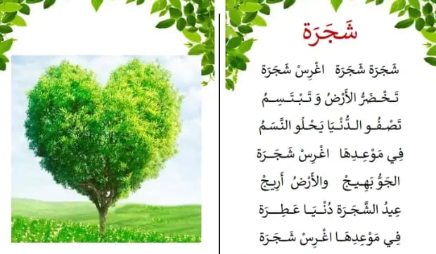 جمعية أمنسيا البيئية عيد الشجرة يوم 2018 11 11 سيكون احتفالا جهويا بحضور مسؤولين على المستوى الوطني والجهوي جمعية أمنسيا ستكون حاضرة و تشارك في هذه التظاهرة فالمرغوب من كل فعاليات المجتمع المدني