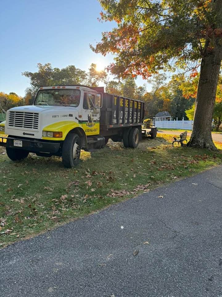The Best Tree Service | Maryland City MD