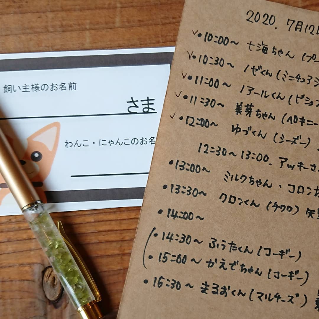 ムーカイト 動物たちのための石 34mm ルース カボション 天然石 パワーストーンのルース クリスタル 原石 鉱物 Stone Marble