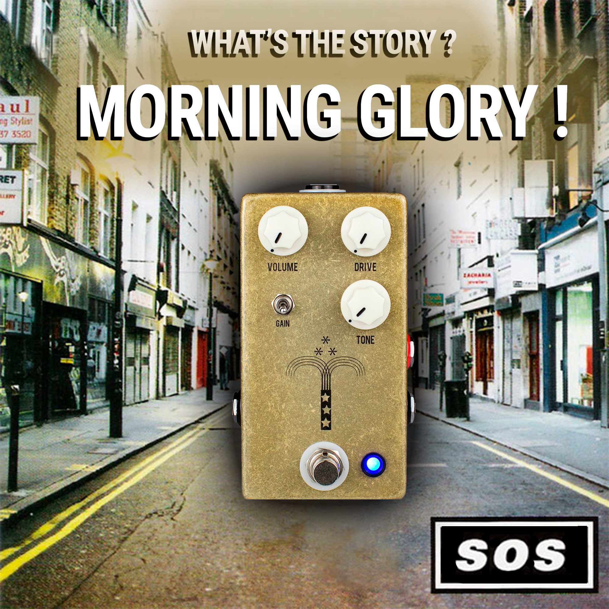Morning Glory Stomp Box Details
