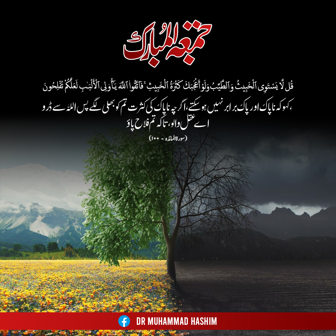 Dr Muhammad Hashim