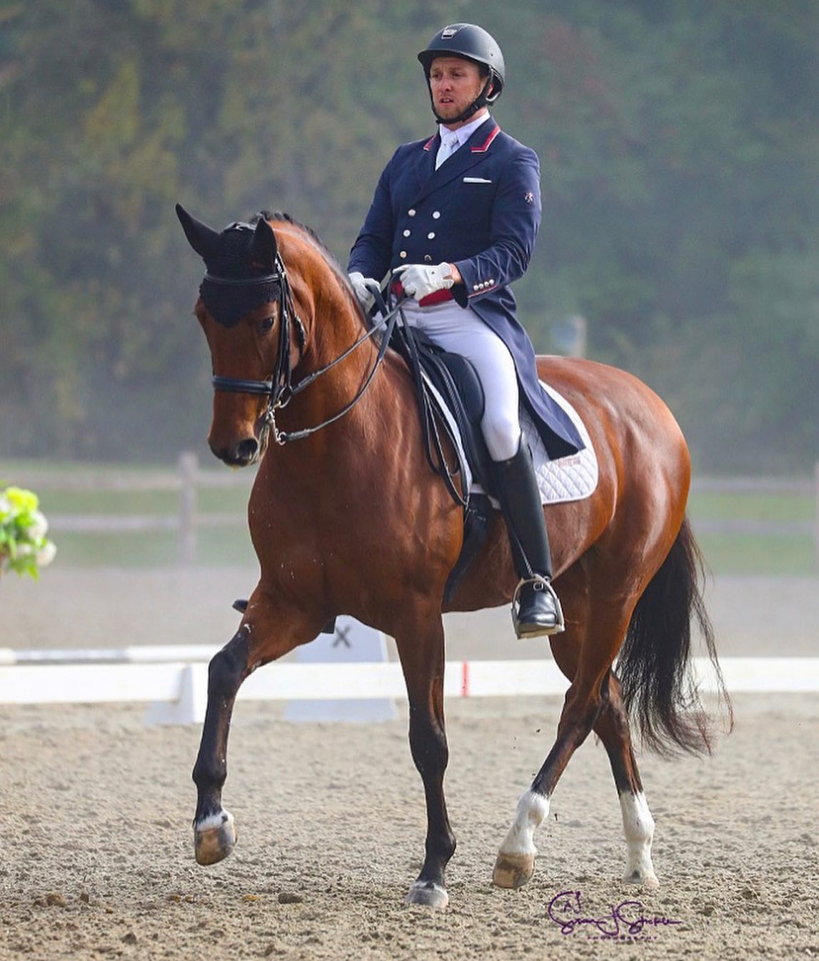 Justin Ridgewell Dressage | Collingwood ON