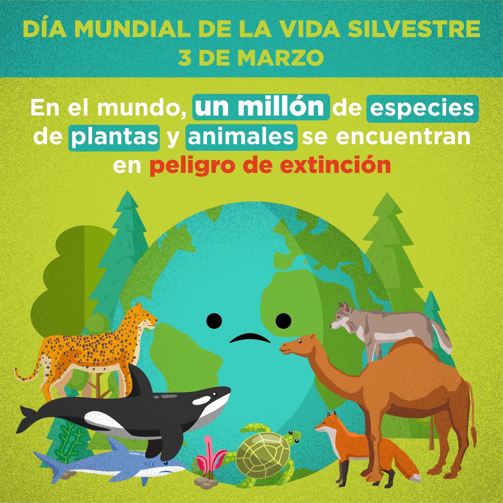 #DíaMund... - Comisión Nacional de los Derechos Humanos (CNDH)