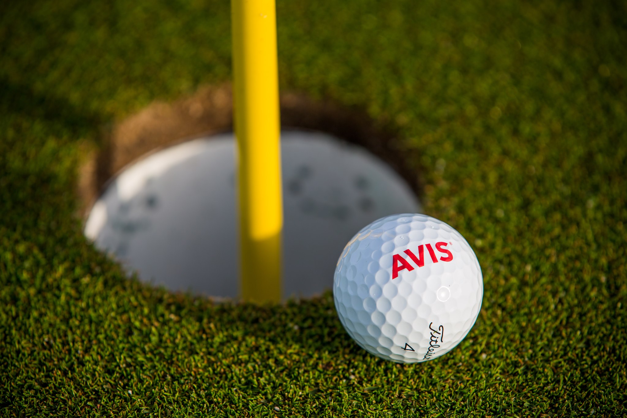 Avis Car Rental | Niles IL