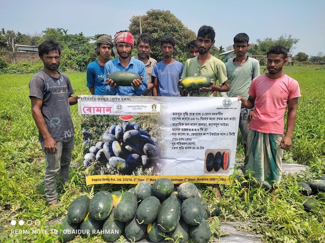 Indosem | Gauhati