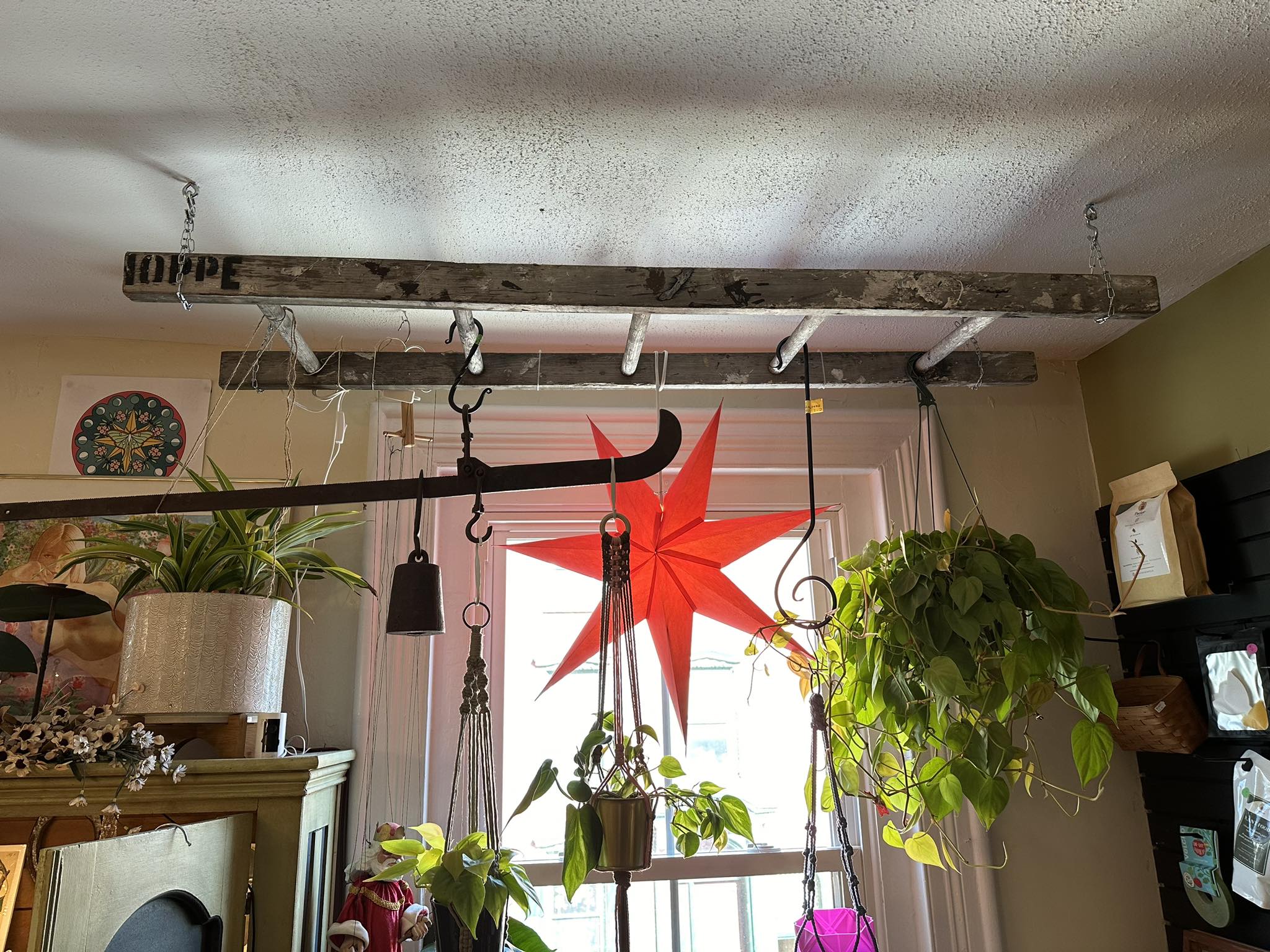 Flower Moon Plants & Crafts | Jim Thorpe PA