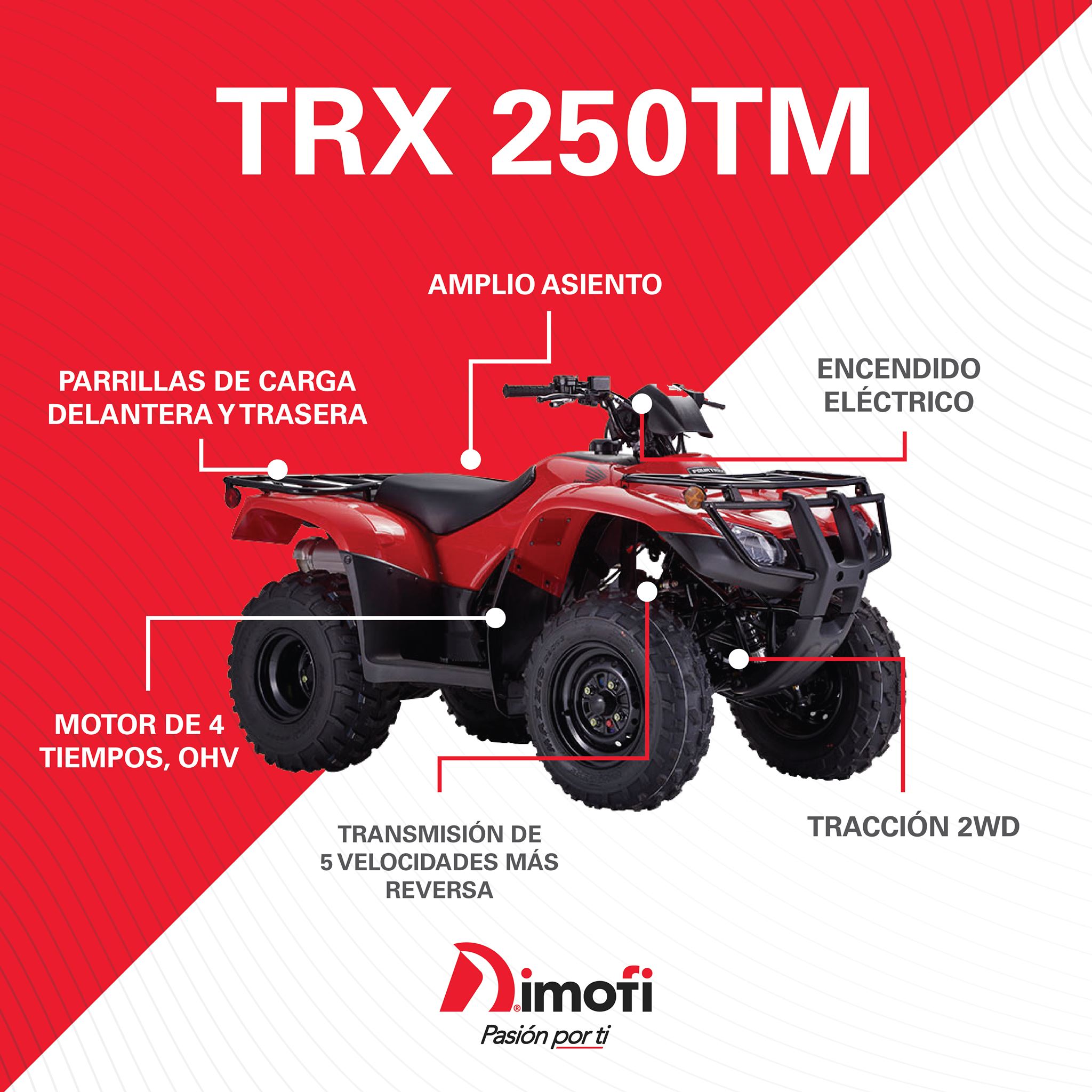 #TRX250TM: El cuadriciclo que lo... - Motos Honda- Dimofi | Facebook