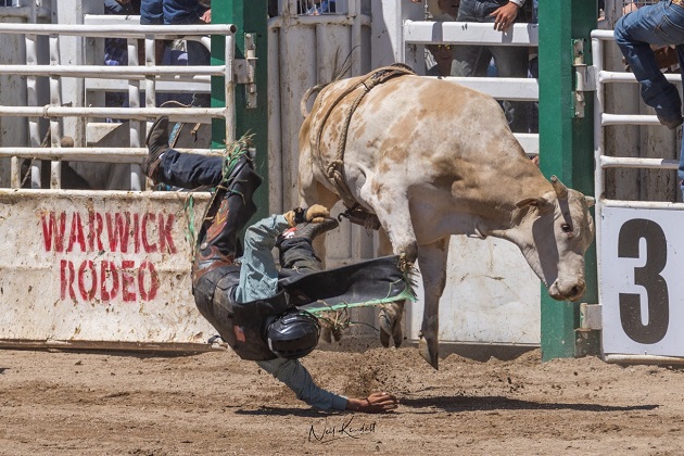 Warwick Rodeo Live Stream