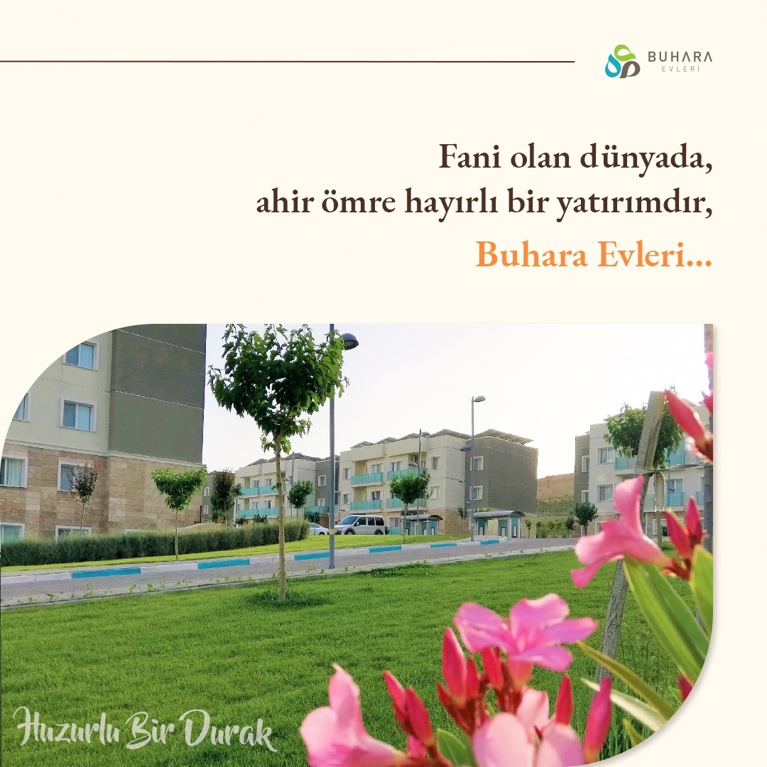 buhara evleri home facebook