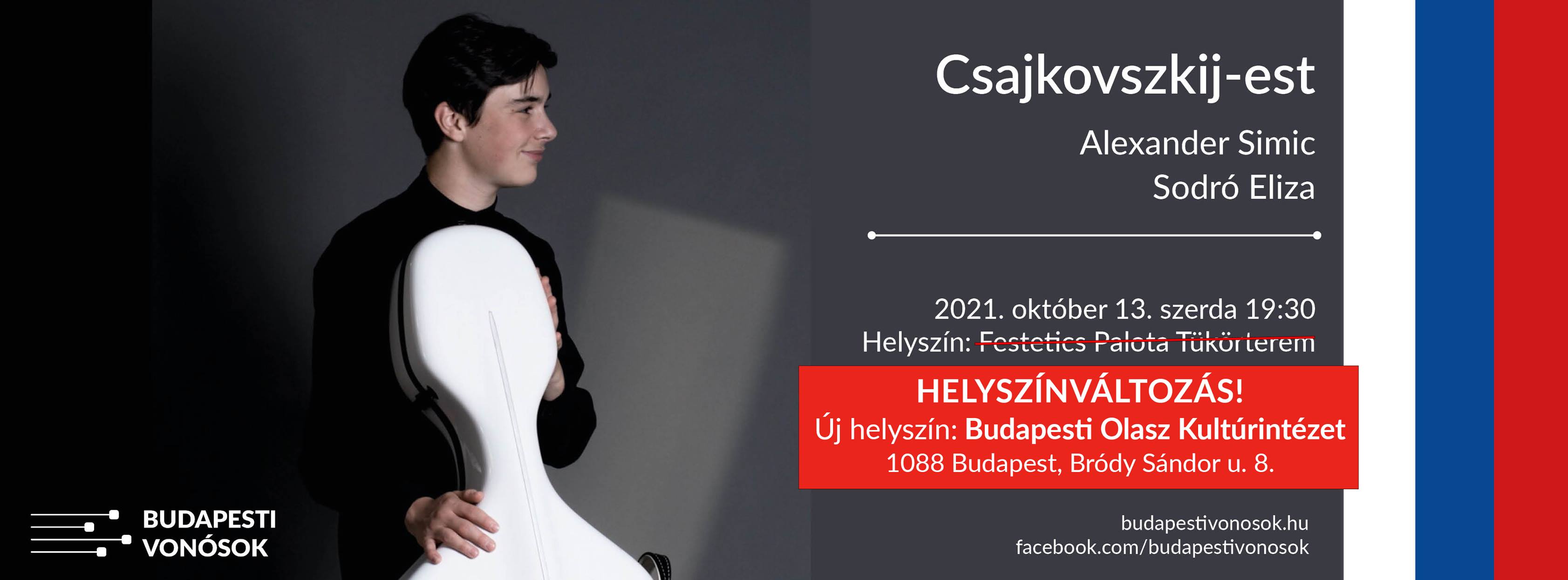 Aleksander Simic - cellist