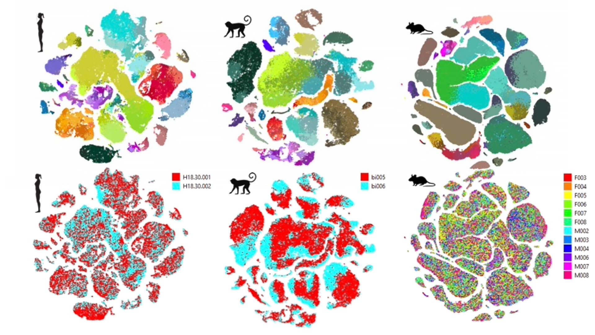 Allen Institute - New preprint from our brain cell types...